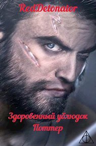 Обложка книги Здоровенный ублюдок Поттер 2