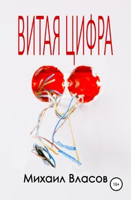 Обложка книги Витая цифра