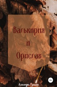 Обложка книги Валькирия и Орислав