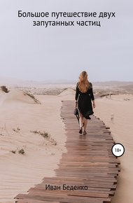 Обложка книги Большое путешествие двух запутанных частиц
