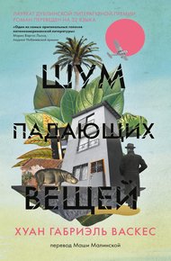Обложка книги Шум падающих вещей