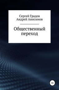 Обложка книги Общественный переход