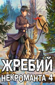 Обложка книги Жребий некроманта #4