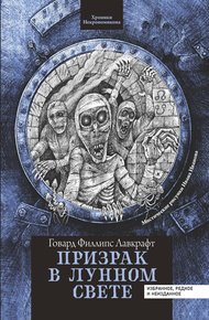 Обложка книги Призрак в лунном свете