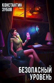 Обложка книги Безопасный уровень