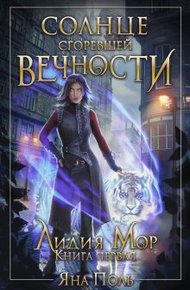Обложка книги Солнце сгоревшей вечности