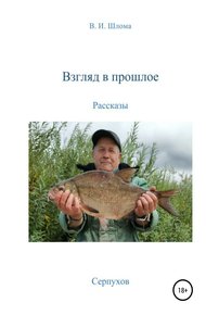 Обложка книги Взгляд в прошлое