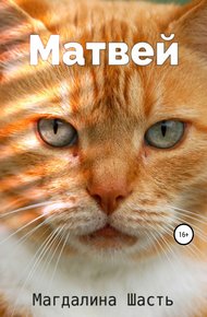 Обложка книги Матвей