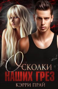 Обложка книги Осколки наших грез