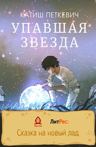 Обложка книги Упавшая звезда