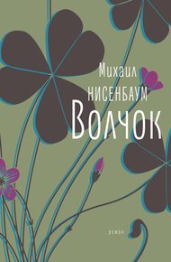 Обложка книги Волчок