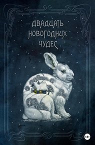 Обложка книги Двадцать новогодних чудес