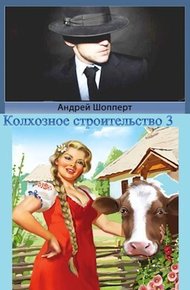Обложка книги Колхозное строительство 3