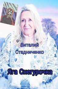 Обложка книги Яга Снегурочка