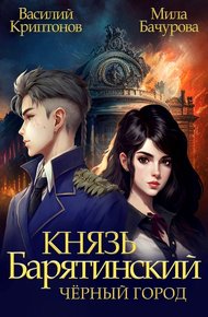 Обложка книги Черный город
