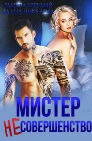 Обложка книги Мистер Несовершенство