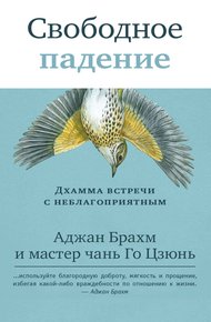 Обложка книги Свободное падение. Дхамма встречи с неблагоприятным