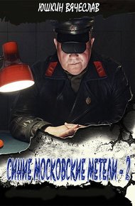 Обложка книги Синие московские метели 2
