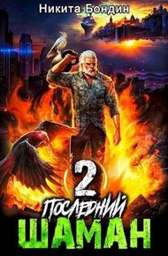 Обложка книги Последний Шаман 2
