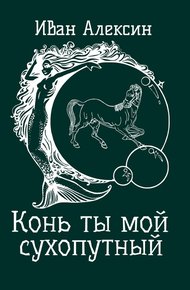 Обложка книги Конь ты мой сухопутный