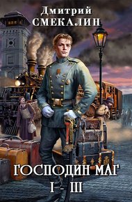 Обложка книги Господин маг