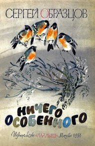 Обложка книги Ничего особенного