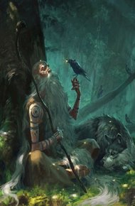 Обложка книги Друид, Гарри и не канон