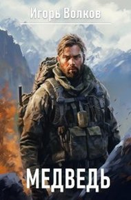 Обложка книги Медведь