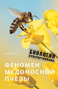 Обложка книги Феномен медоносной пчелы. Биология суперорганизма