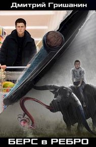 Обложка книги Берс в ребро