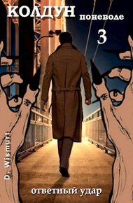 Обложка книги Ответный удар