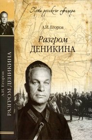 Обложка книги Разгром Деникина