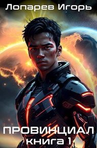 Обложка книги Провинциал. Книга 1