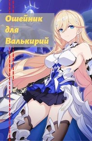Обложка книги Ошейник для валькирий