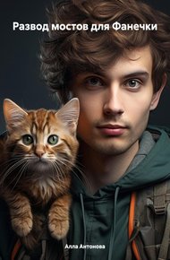 Обложка книги Развод мостов для Фанечки