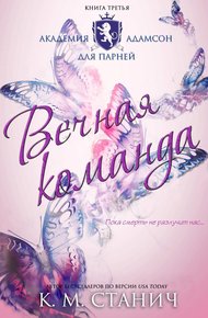 Обложка книги Вечная команда