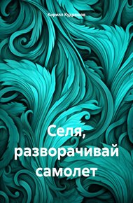 Обложка книги Селя, разворачивай самолет