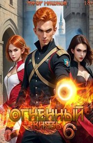 Обложка книги Огненный князь 6