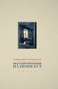 Обложка книги Полупрозрачный палимпсест. Рассказы, эссе и заметки