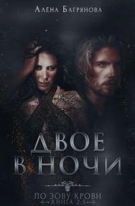 Обложка книги Двое в ночи