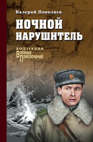 Обложка книги Ночной нарушитель