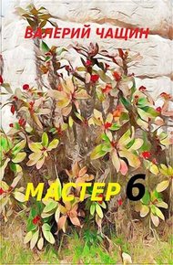 Обложка книги Мастер 6