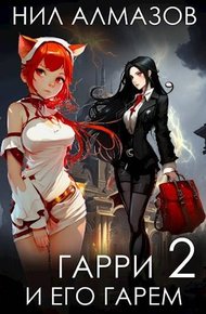 Обложка книги Гарри и его гарем 2