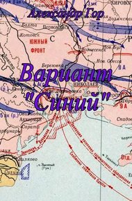 Обложка книги Вариант «Синий»