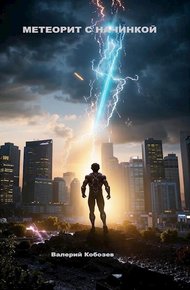 Обложка книги Метеорит с начинкой 1