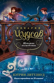 Обложка книги Щепотка волшебства