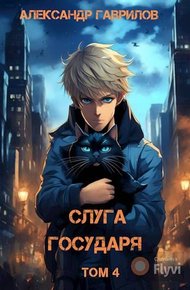 Обложка книги Слуга государя 4