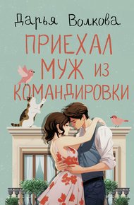 Обложка книги Приехал муж из командировки