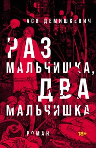 Обложка книги Раз мальчишка, два мальчишка
