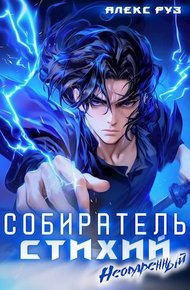Обложка книги Собиратель стихий. Неодаренный
